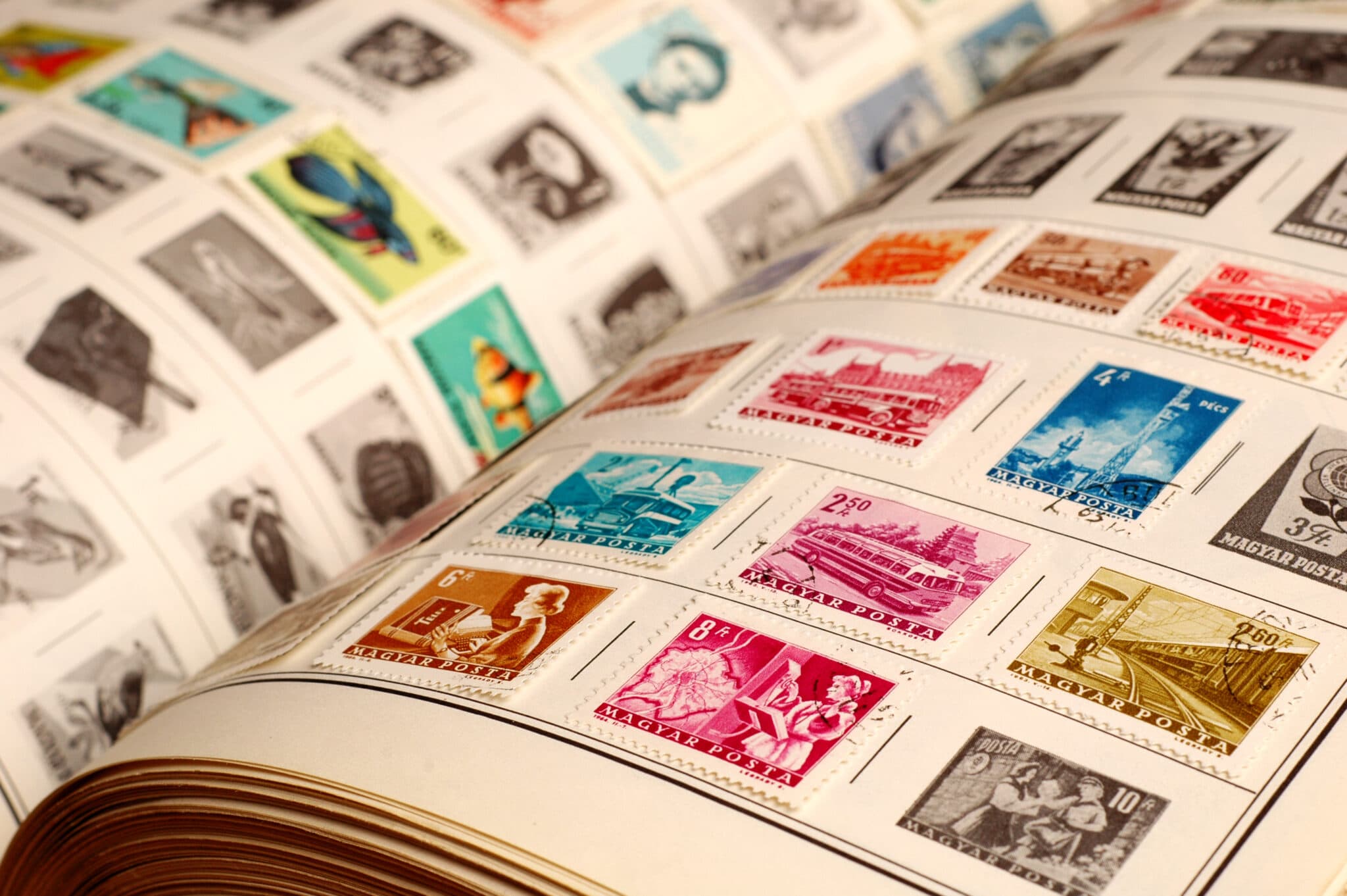 Stamp collection albums